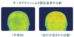 ナンバースリー　ミュリアム　クリスタル　スカルプ