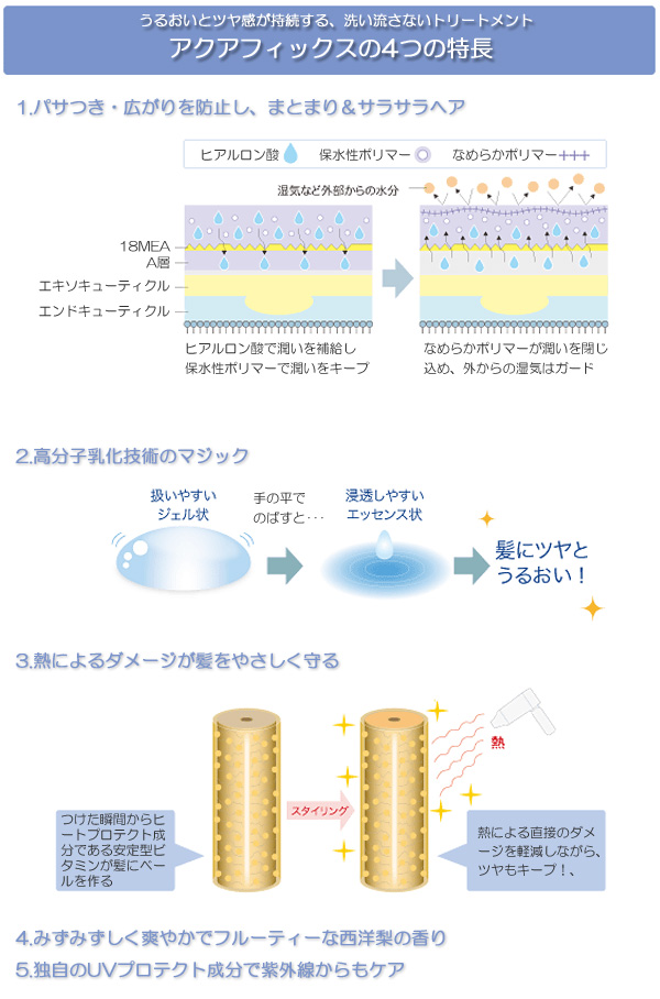 資生堂プロフェッショナル アクアフィックス AQUAFIX MINAMI